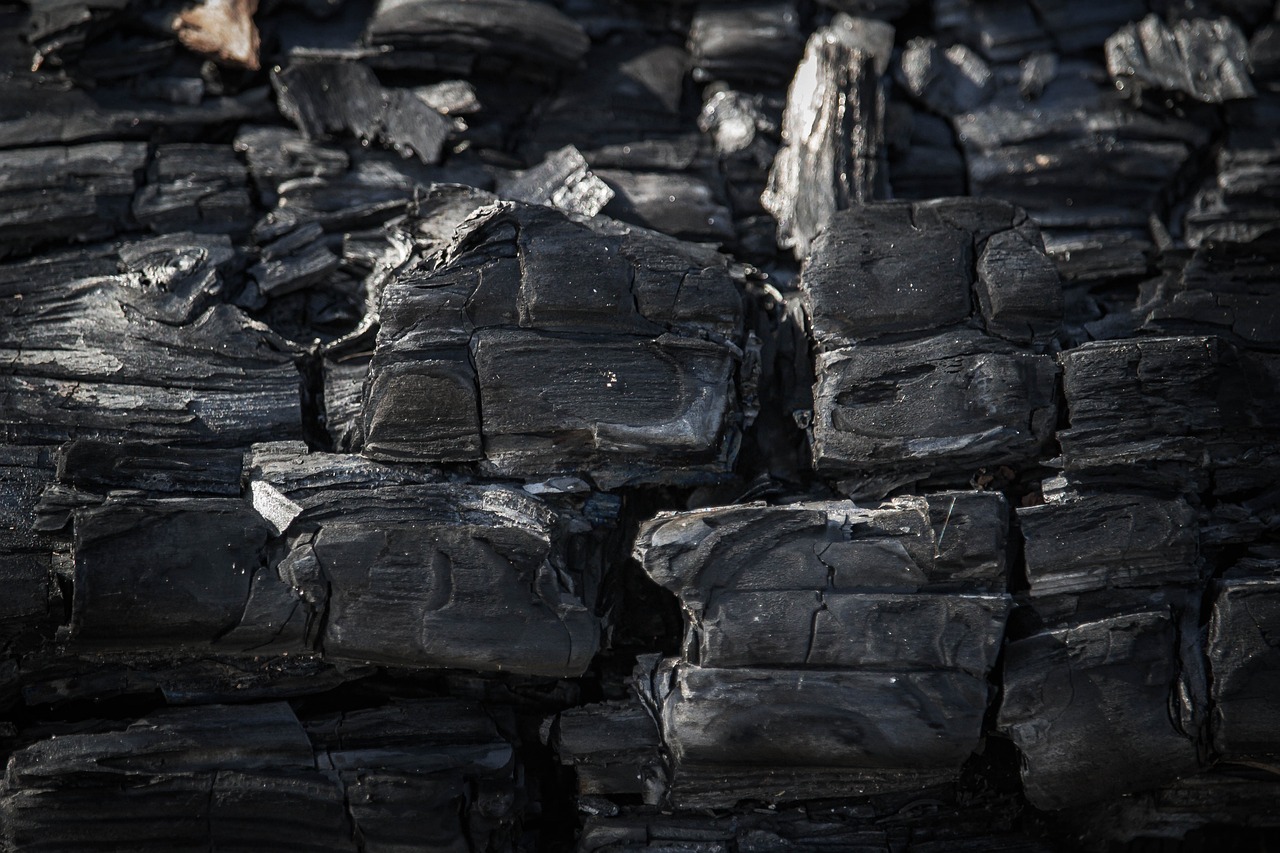 Cuál la diferencia entre carbón vegetal y briquetas?